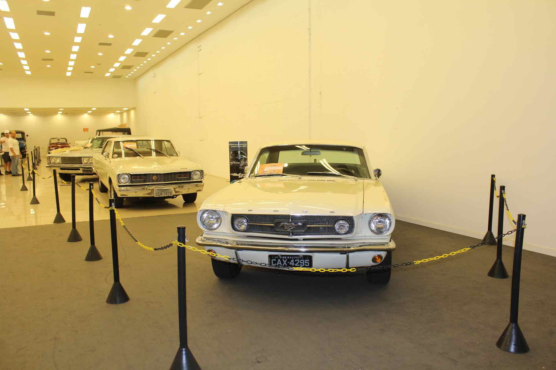 Faixa Branca atrai milhares de visitantes à exposição